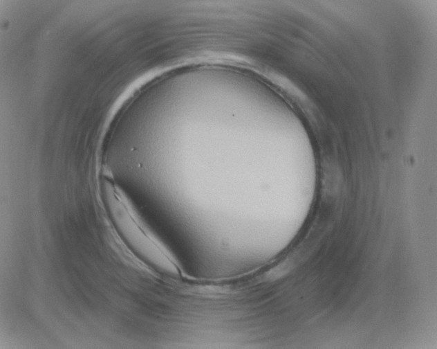 X0000083041280200702231920