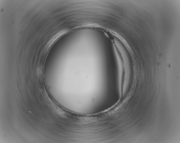 X0000083041281200702231920