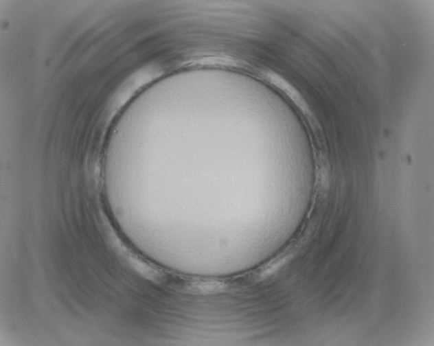 X0000083041282200702231920