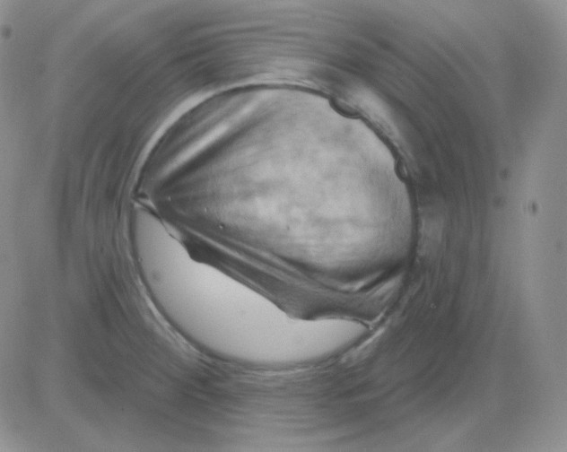 X0000083041284200702231920