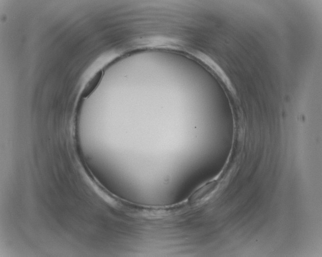 X0000083041285200702231920