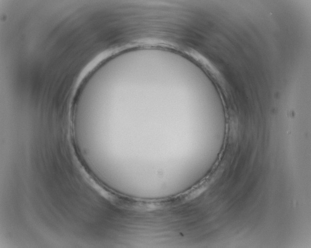 X0000083041286200702231920