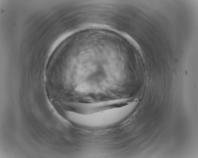 X0000083041287200702231920