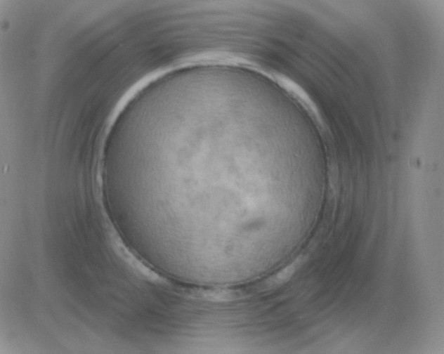 X0000083041288200702231920