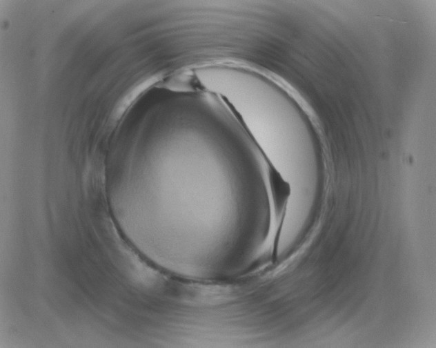 X0000083041289200702231920