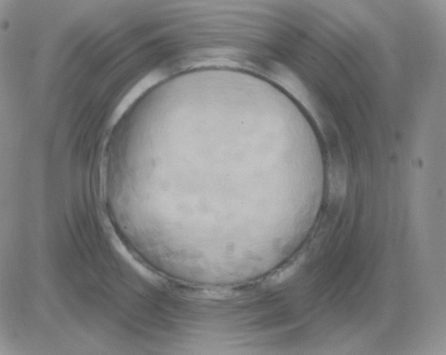 X0000083041290200702231920