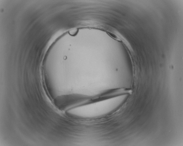 X0000083041291200702231920