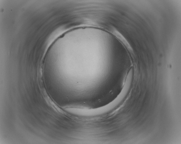 X0000083041292200702231920