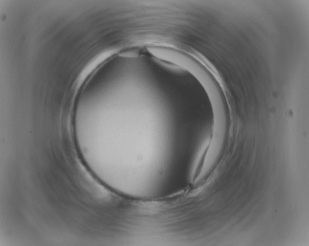 X0000083041293200702231920