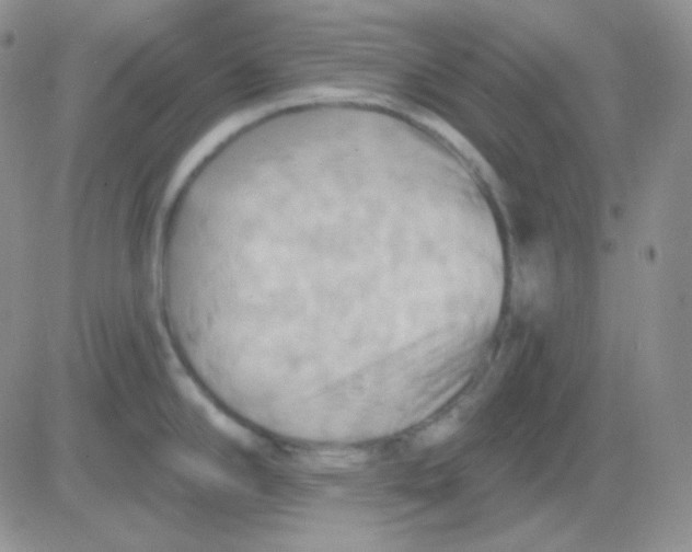 X0000083041294200702231920