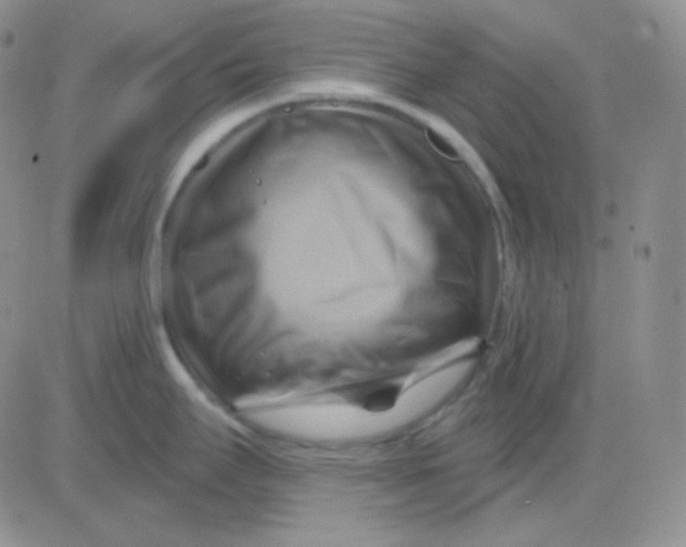 X0000083041295200702231920