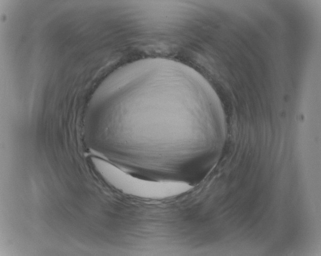 X0000083041297200702231919