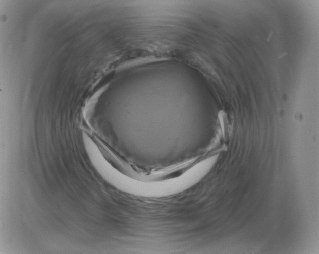 X0000083041298200702231919