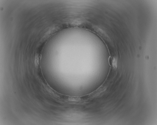 X0000083041299200702231919