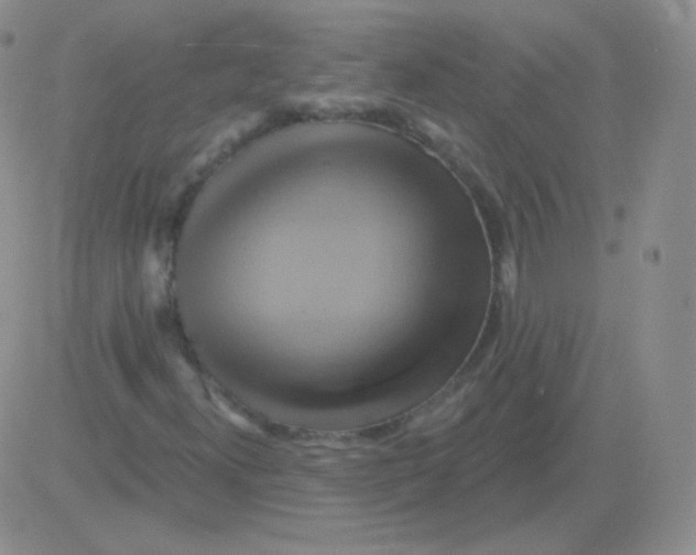 X0000083041300200702231919