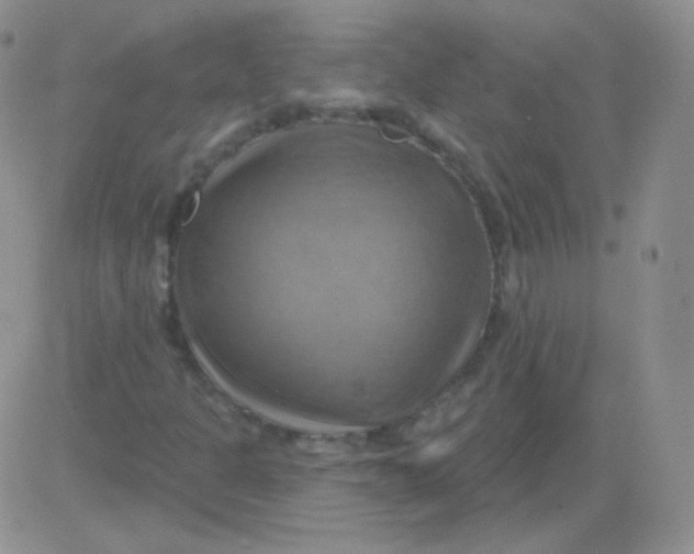 X0000083041301200702231919