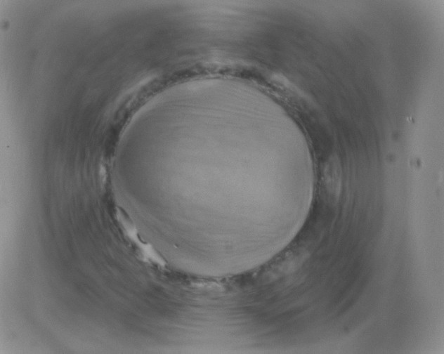 X0000083041302200702231919