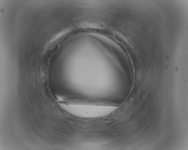 X0000083041303200702231919