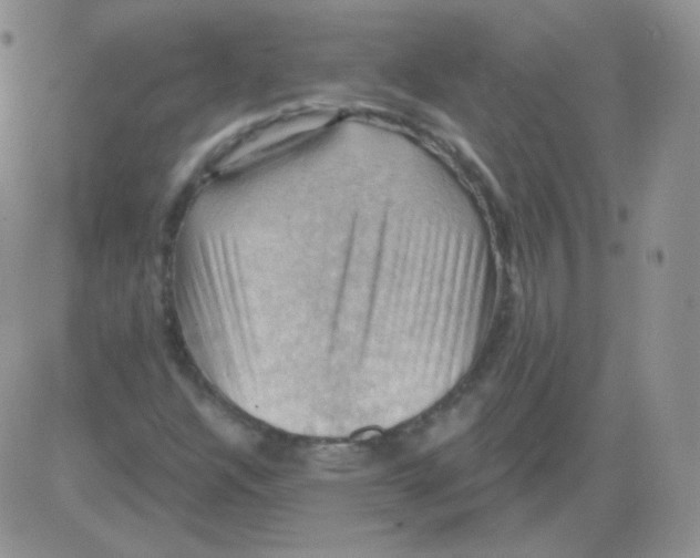 X0000083041304200702231919