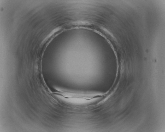 X0000083041305200702231919