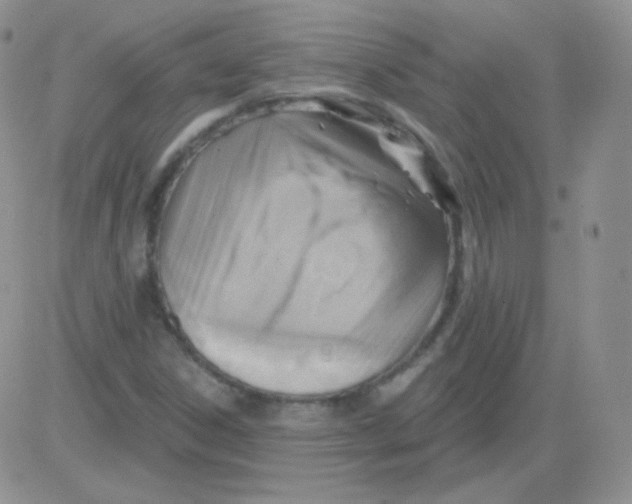 X0000083041306200702231919