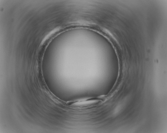 X0000083041307200702231919