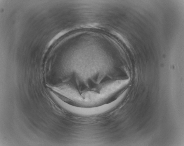 X0000083041308200702231919