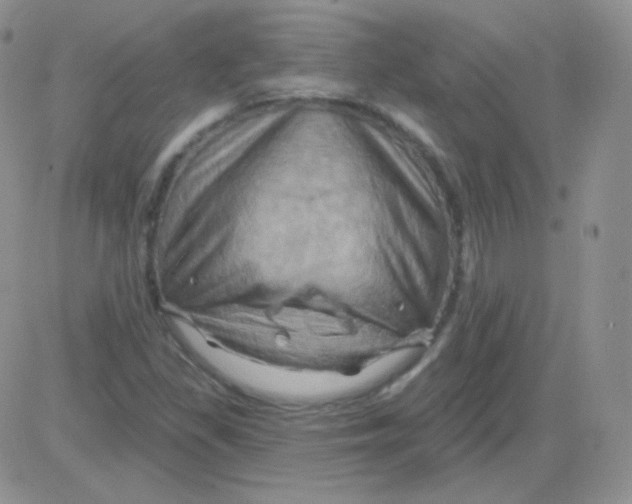 X0000083041309200702231919