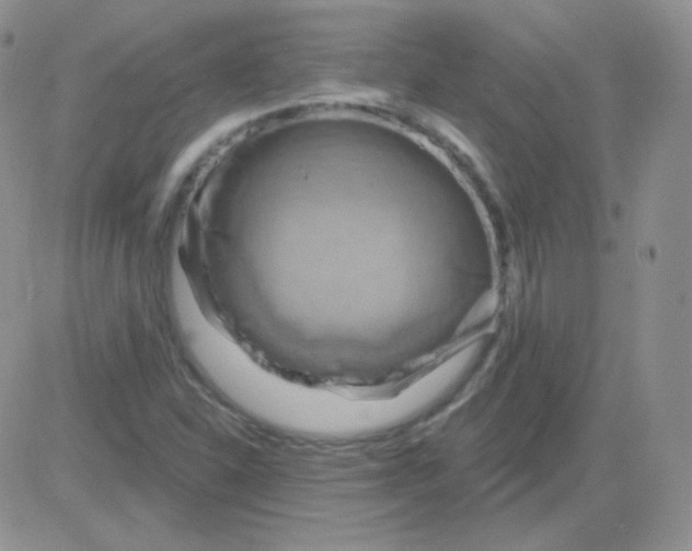 X0000083041310200702231919