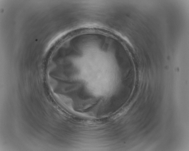 X0000083041311200702231919