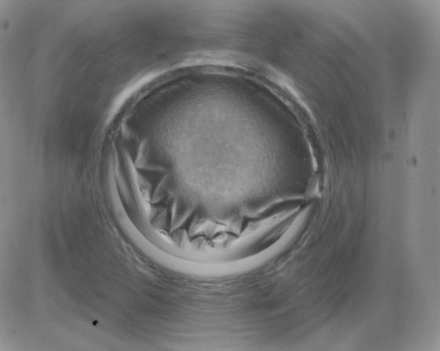 X0000083041312200702231919