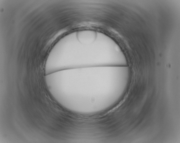 X0000083041313200702231919