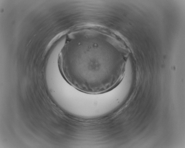 X0000083041314200702231919