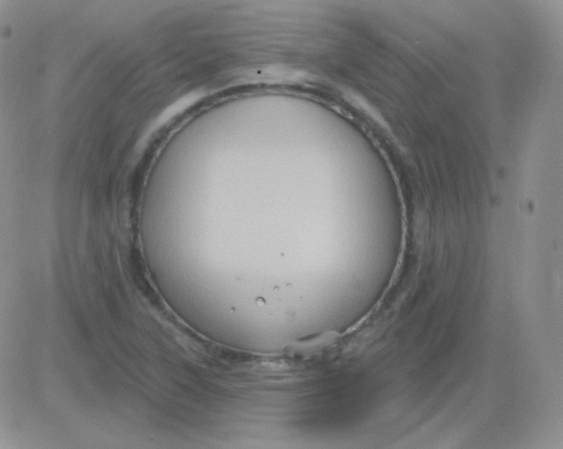 X0000083041315200702231919