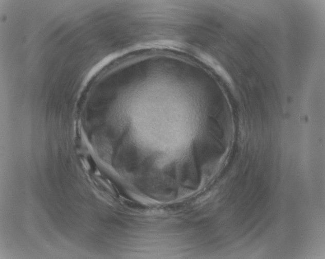 X0000083041316200702231919