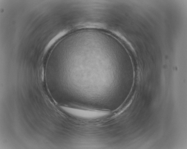 X0000083041317200702231919