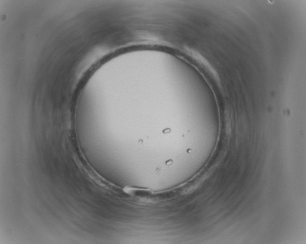 X0000083041318200702231919