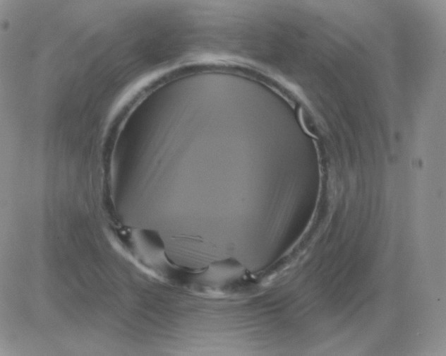 X0000083041319200702231919