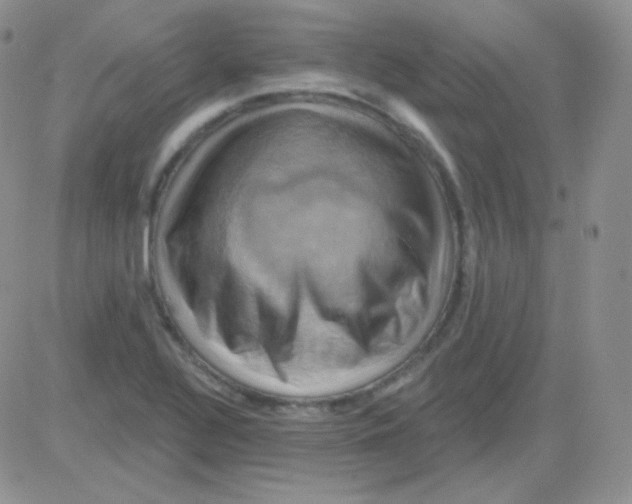 X0000083041320200702231919