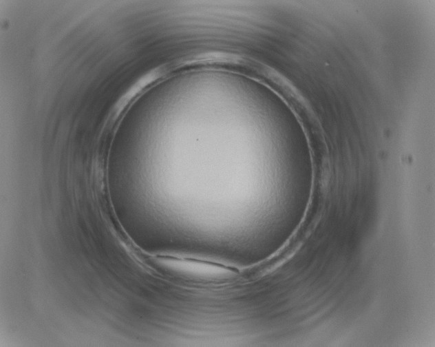 X0000083041321200702231919