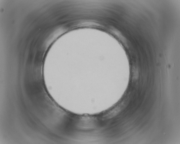 X0000083041322200702231920