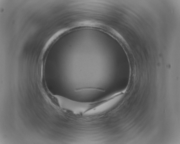 X0000083041323200702231920