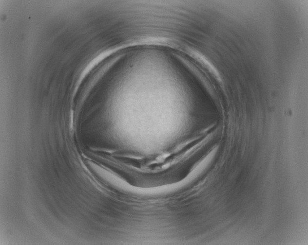 X0000083041324200702231920