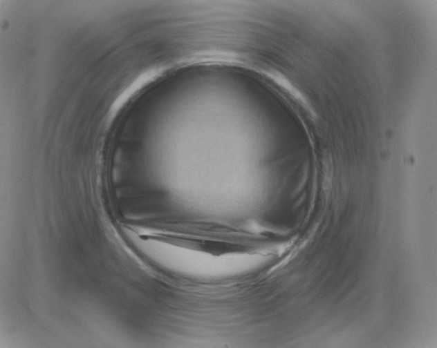 X0000083041325200702231920