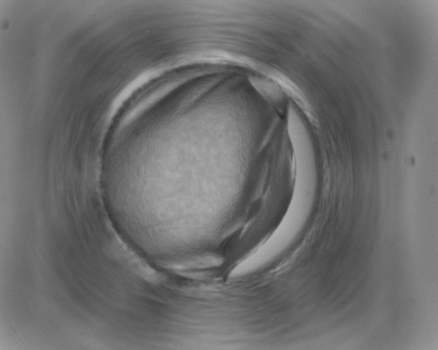 X0000083041326200702231920