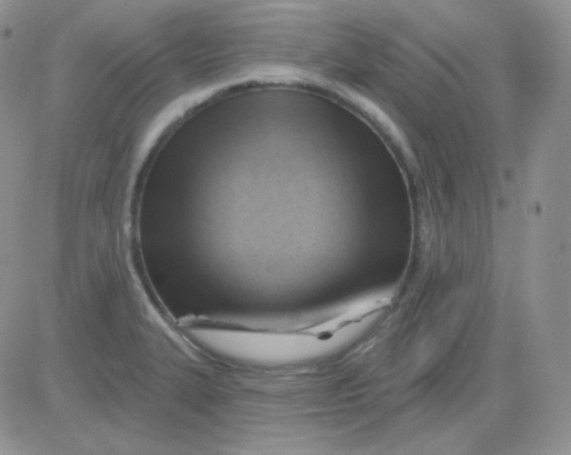 X0000083041327200702231920