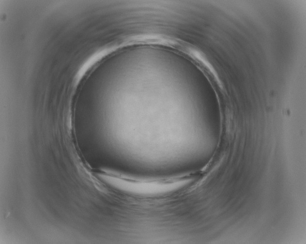 X0000083041328200702231920