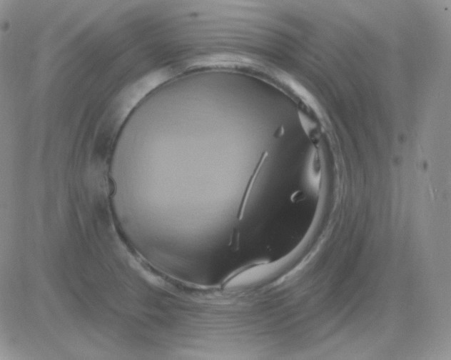 X0000083041329200702231920