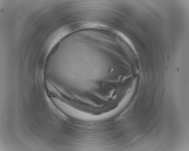 X0000083041330200702231920