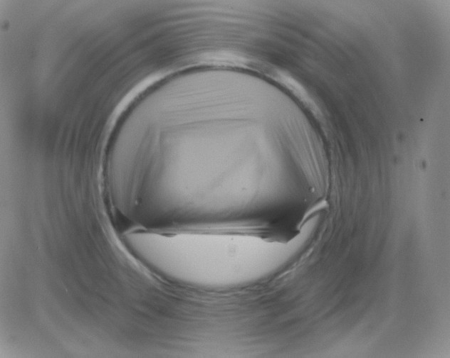 X0000083041331200702231920